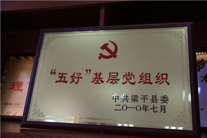 “五好”基层党组织
